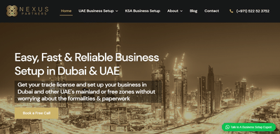 SEO for Business Setup Company - Online Advertising