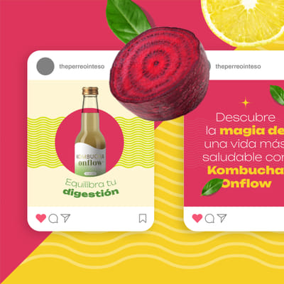 Kombucha OnFlow - Estrategia digital