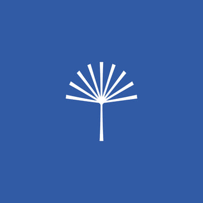 Bloomly - Image de marque & branding