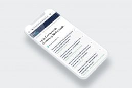 Taalunie - Databank webapplicatie - Ontwerp
