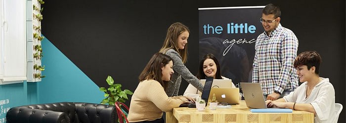 The little Agency • Diseño web y SEO Salamanca cover