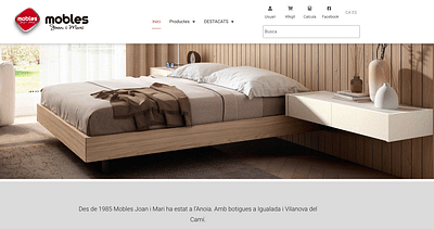 moblesjoanimari.com - SEO