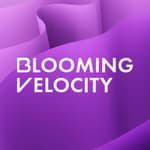 Blooming Velocity logo