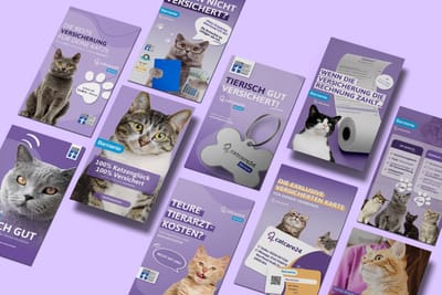 Social-Media-Marketing für catcare24 - Marketing