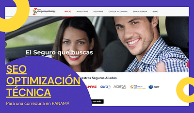 SEO Optimización para Aseguradora en Panamá - SEO