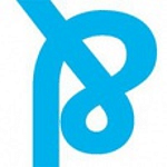 Netbasics logo