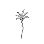 Palm Three logo