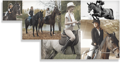 Gallop Shop - Social Media