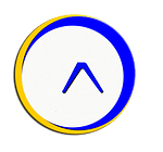 Diligent Technologies