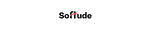 Softude Infotech Pvt Ltd