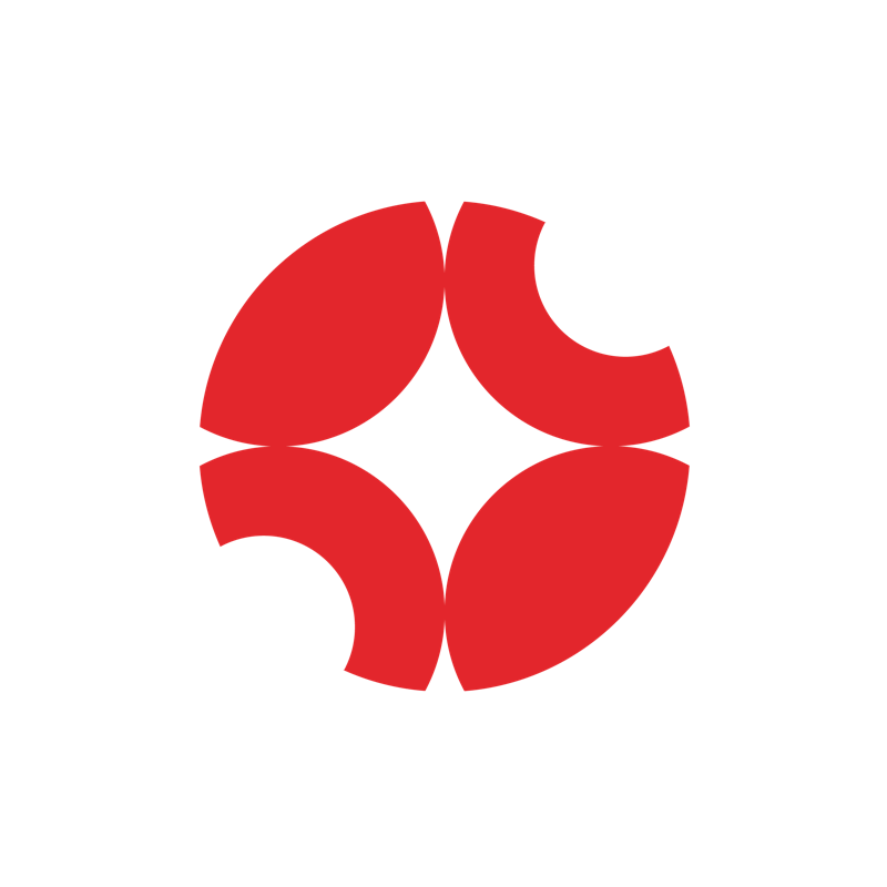 DATA SOLUTION LEAD CONSULTING