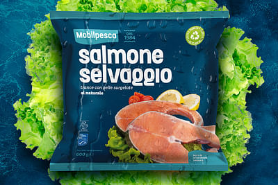 Mobilpesca Rebrand and packaging - Creazione di siti web