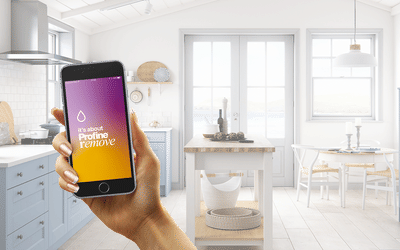 Sviluppo App Profine - Software Ontwikkeling