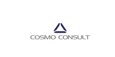 Cosmos Consult 2014 - 2018 Summer party - Content-Strategie
