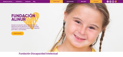 Desarrollo Web Alinur - SEO