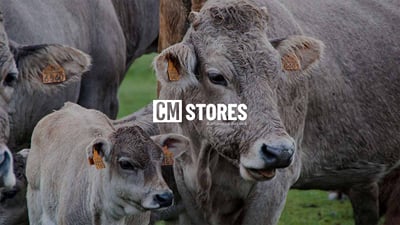 Cómo una agrotienda en Shopify posicionó sus categorías en el Top 3 - E-commerce