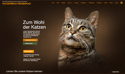 Website Design: www.katzenheim-freudenau.at - Webseitengestaltung
