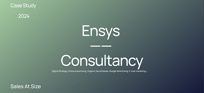 Ensys - Consultancy - E-mail Marketing