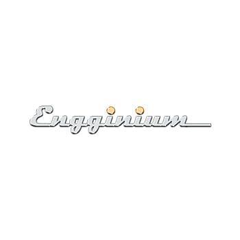 Corporate Website Design & Development for Engginium - Website Creation