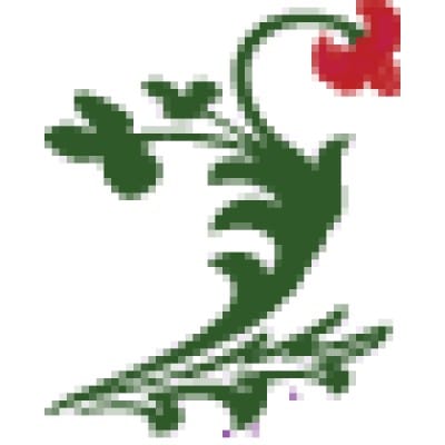 Clients Website Company