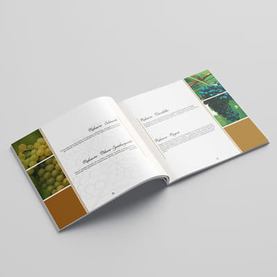 Broschüre für renomiertes Weingut aus der Pfalz - Print
