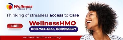 Awareness Campaign For Wellness Health Group - SEO