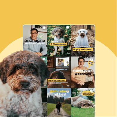 Social Media Strategy and Creation for the Dog-Sitting-App Liesl - Redes Sociales