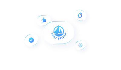 Aumentar los ingresos por el SEO para Petit Bateau - SEO
