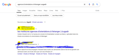 local and national SEO for GOLDEN STUDENT Agency - Référencement naturel