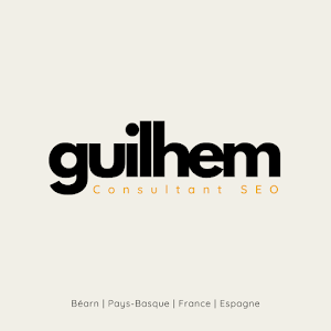 Guilhem ARREGLE | Consultant SEO local