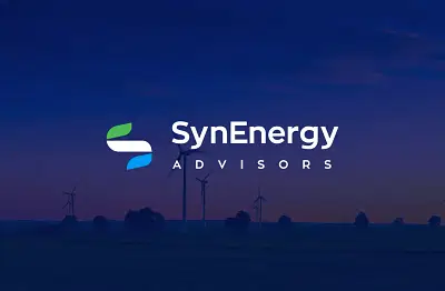 Synenergy Advisors - Web Design & SEO - Ergonomie (UX/UI)