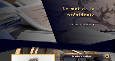 Site Vitrine - Identité Graphique