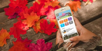 Création d'une PWA pour le PAL - Web Application