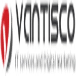 Vantisco logo
