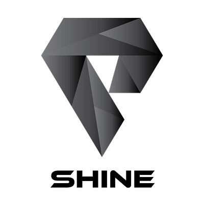 Consulting SEO Shine - Référencement naturel