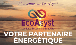 Ecoa'syst - Website Creatie