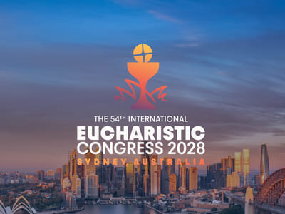 IEC 2028 Website Design and Development - Creación de Sitios Web