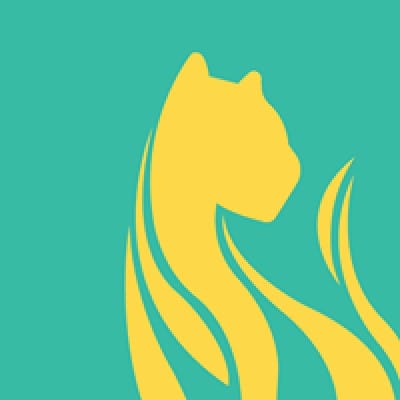 iLioness Marketing Strategies, LLC