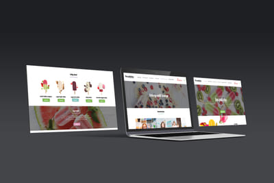 Website Re-Design Las Paletas - Création de site internet