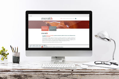 Web site + Communication material for Merakin - Création de site internet