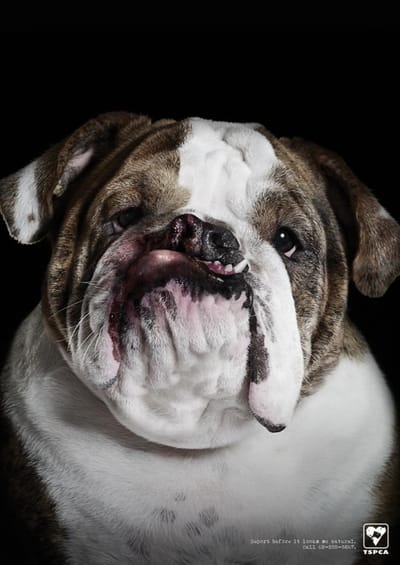 Fat Lip - Werbung