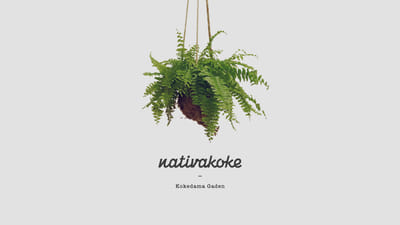 Nativakoke - Branding & Positioning