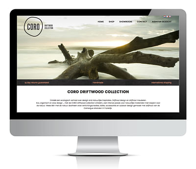 Coro Driftwood - Digital Strategy