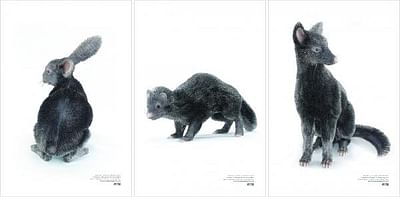 Fur Hurts - Advertising
