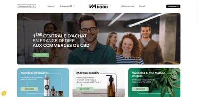 Site internet vitrine - Creazione di siti web