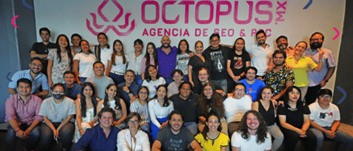 Octopus cover