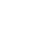 Brown Fox