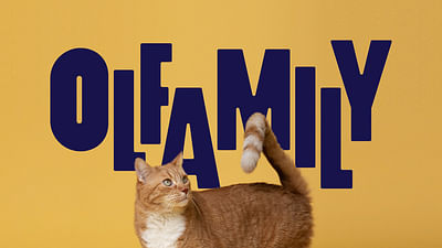 Olfamily - Furry Business Only - Branding & Posizionamento