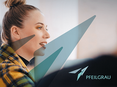 Branding Best Practice Steuer-Kanzlei Pfeilgrau - Application web
