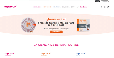 Ecommerce Repavar - E-commerce